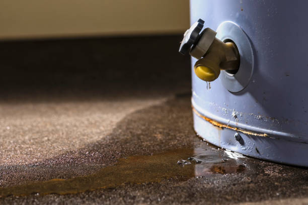 Best Water damage cleanup near me  in Shaker Heights, OH