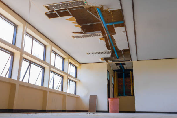Best Water damage contractors near me  in Shaker Heights, OH