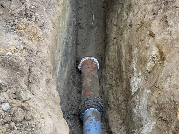 Best Sewage cleanup and water damage restoration  in Shaker Heights, OH