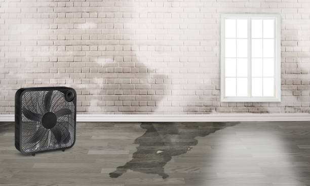 Best Water damage restoration near me  in Shaker Heights, OH