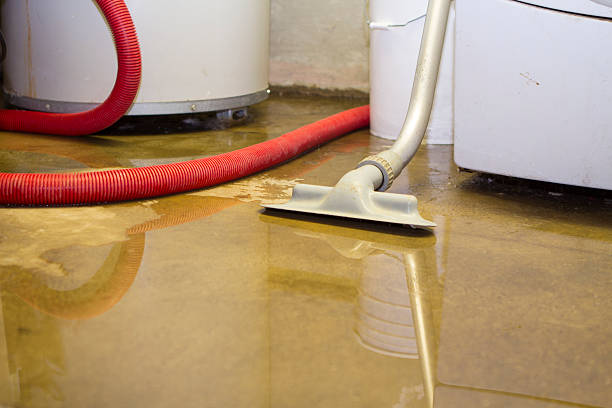 Best Mold removal after water damage  in Shaker Heights, OH