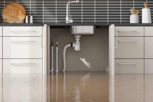 Best Local water damage restoration  in Shaker Heights, OH